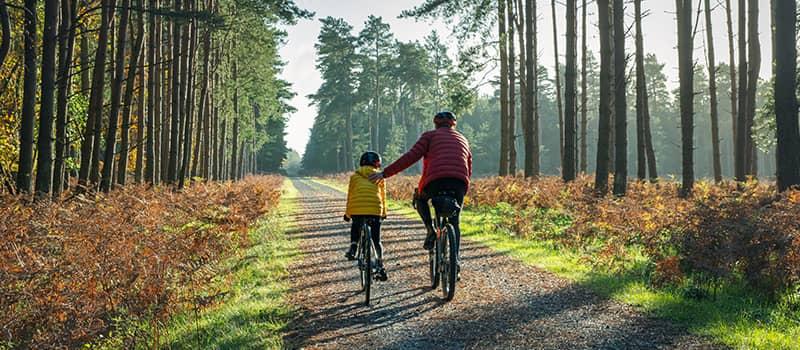 A father and son ride bicycles on a sunlit forest path. They wear bright jackets, conveying warmth and togetherness amidst tall trees.